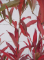 Preview: Lindera angustifolia 3
