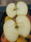 Preview: Winterapfel Cox Orange2