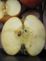 Preview: Apfel Jonagold 2