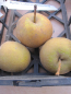 Preview: Apfel Lunterse Pippeling