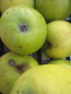 Preview: gelber Osterapfel kaufen