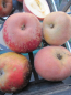 Preview: Herbstapfel Hadelner Rotfranch 1
