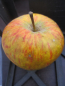 Preview: Prinzenapfel