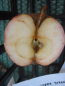 Preview: Malus Roter Jungfernapfel 2