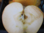 Preview: Winterapfel Hildesheimer Goldrenette pflanzen
