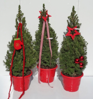 Kleiner Weihnachtsbaum in Dekorationstop und Weihnachtsschmuck