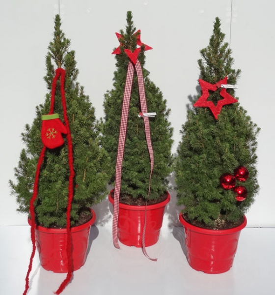 Kleiner Weihnachtsbaum in Dekorationstop und Weihnachtsschmuck